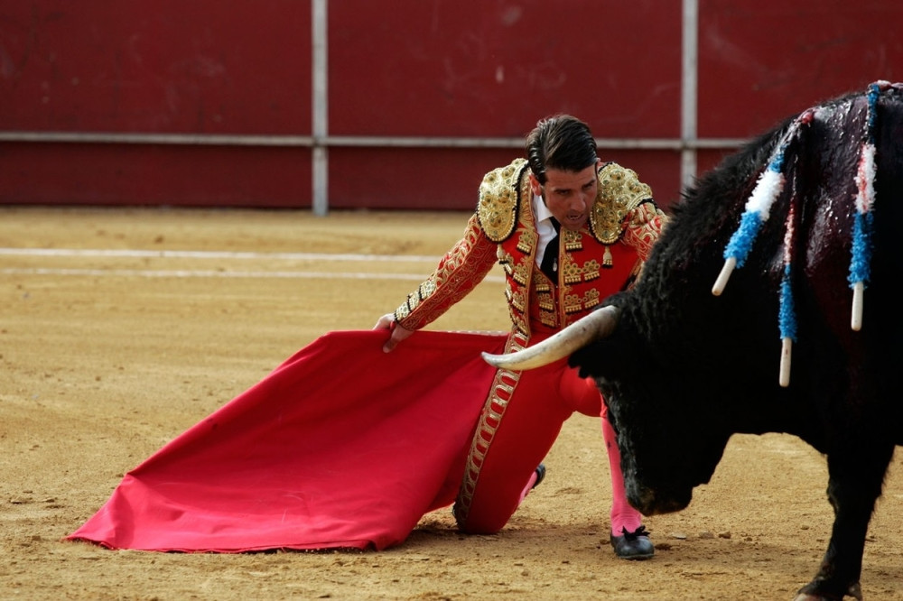 Bik ubio toreadora (UZNEMIRUJUĆI VIDEO)