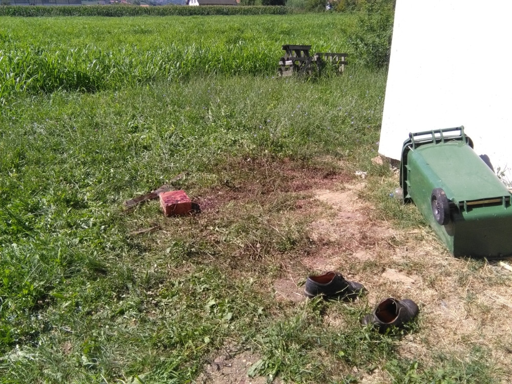 Psi ubili Novosađanina dok je spasavao mačku