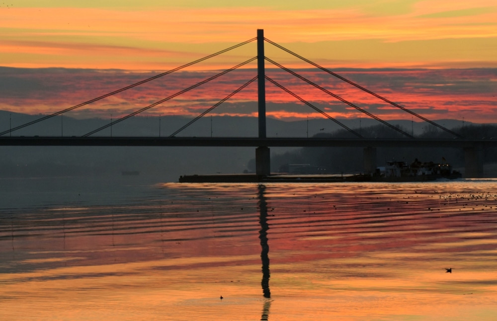 Skočila s Mosta slobode iz zezanja!