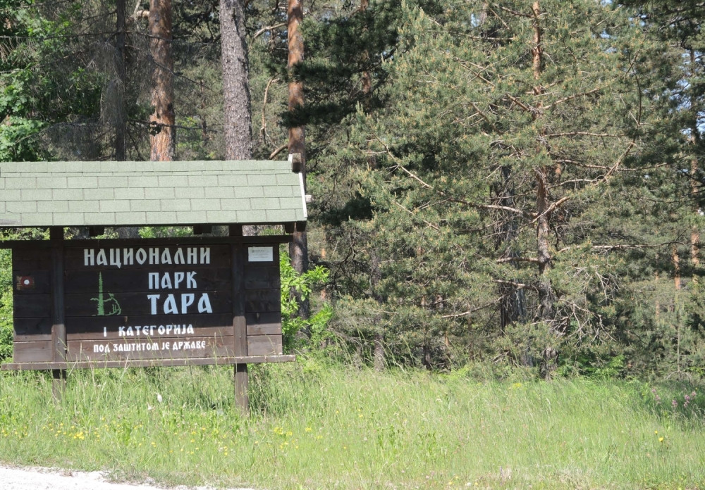 Pronađeno telo lovca koji je nestao na Tari!