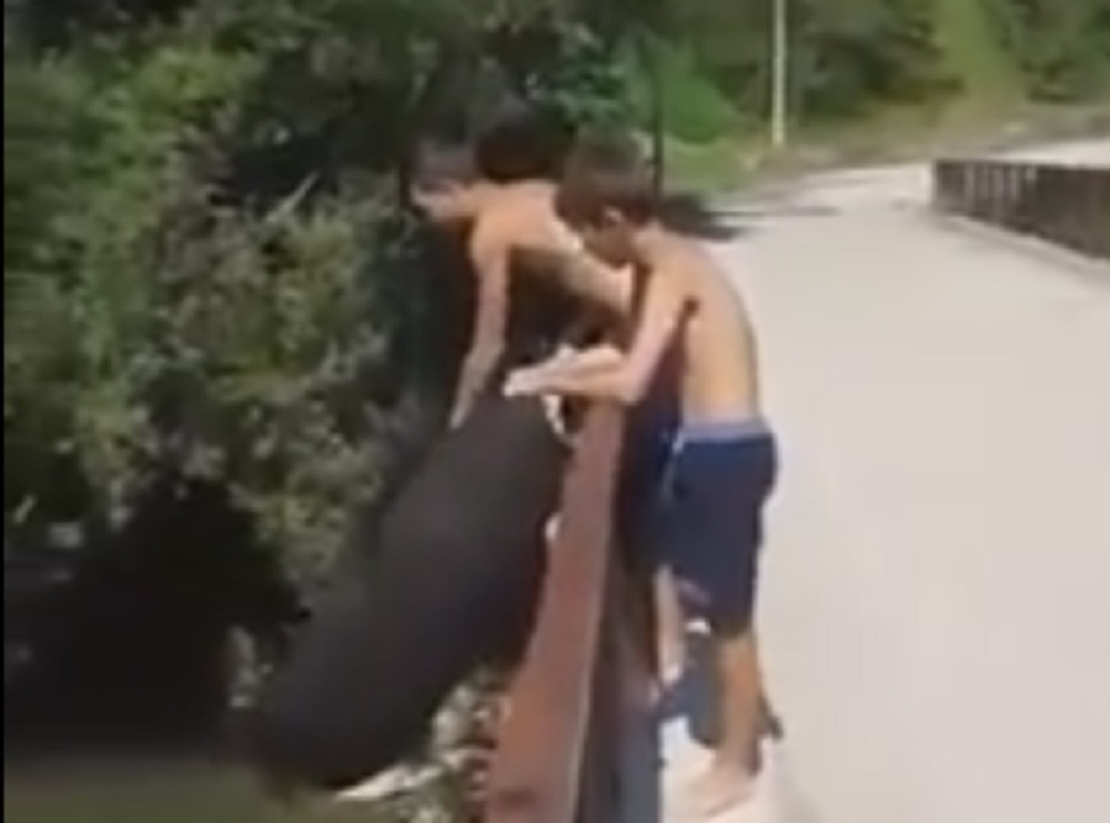 Klinčurija skakala sa mosta (VIDEO)