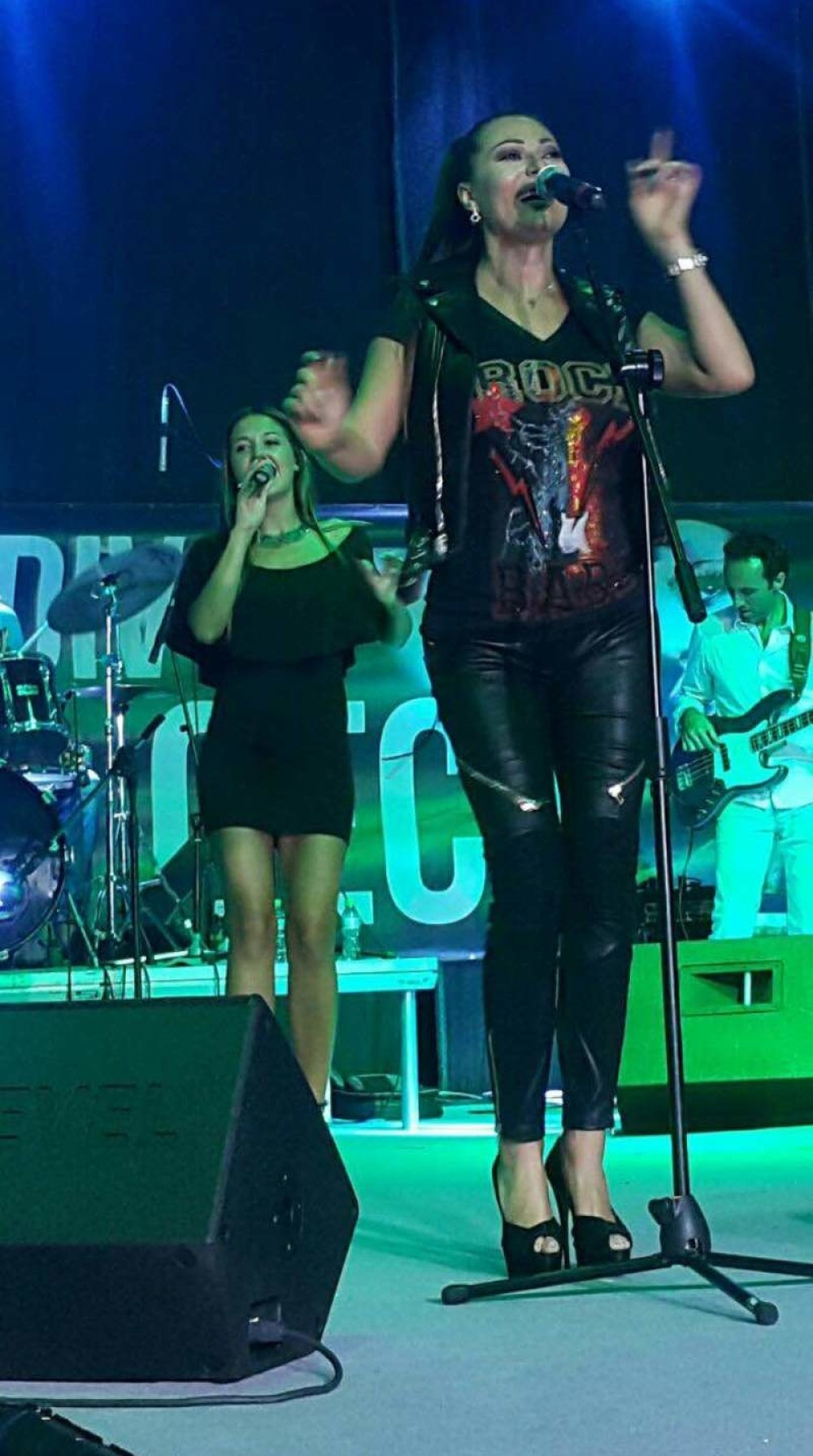 Ceca otkrila zašto nije mogla da zaustavi suze na koncertu