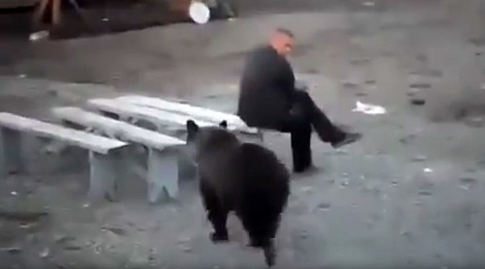 Medved došao do njega, a on mrtav ladan (VIDEO)