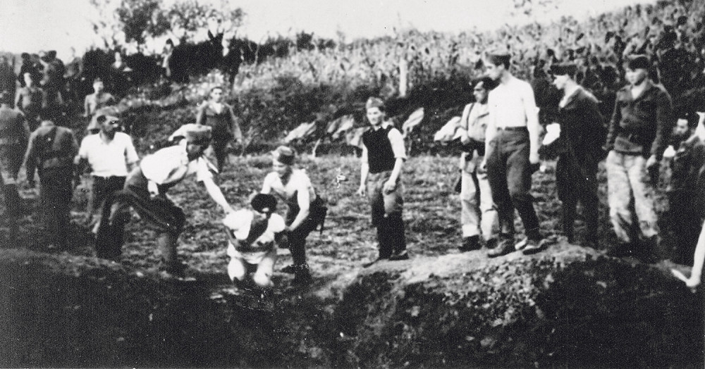 Genocid u NDH nisu počinile ustaše već SRBI!