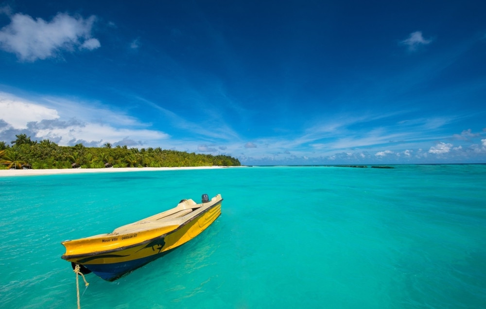 Otkucava smak sveta!?