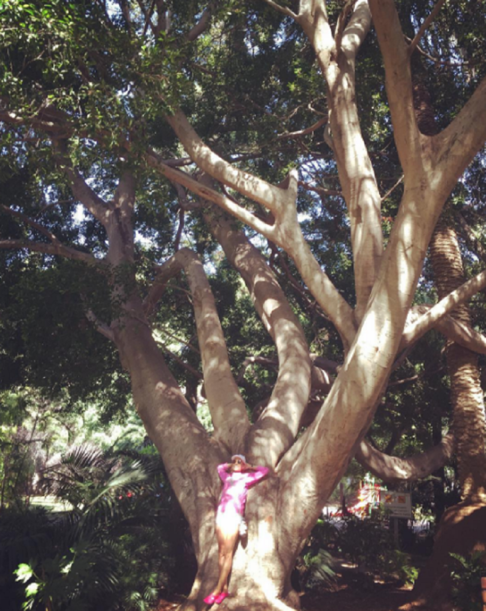 Ova fotografija Jelene Đoković će vas rasplakati