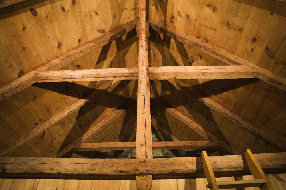 Nepoznata žena mu se uselila na tavan (VIDEO)