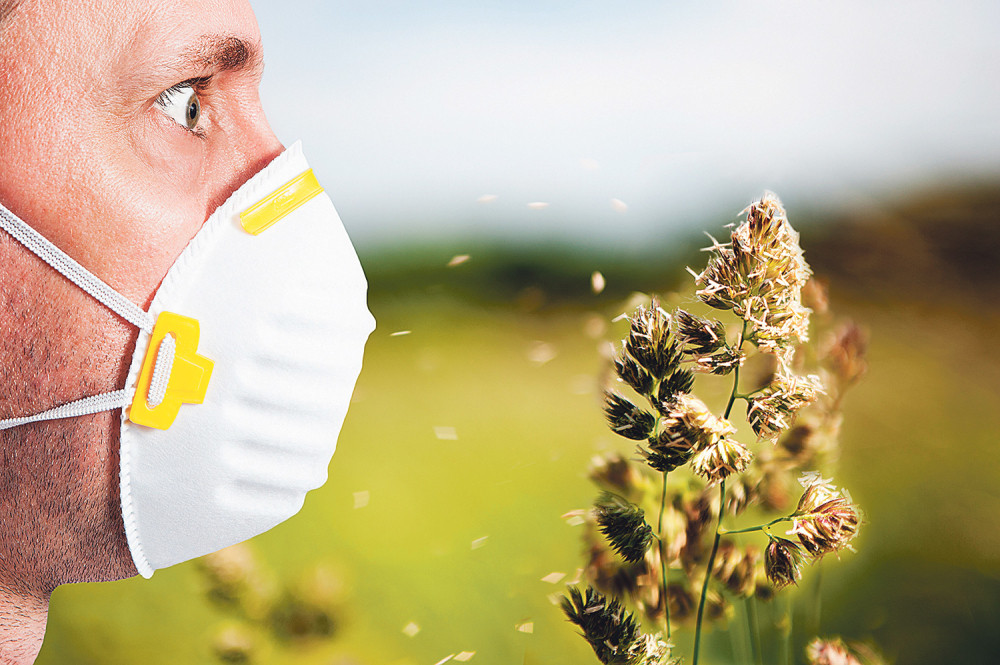 Nepokošeni korov opasan po zdravlje