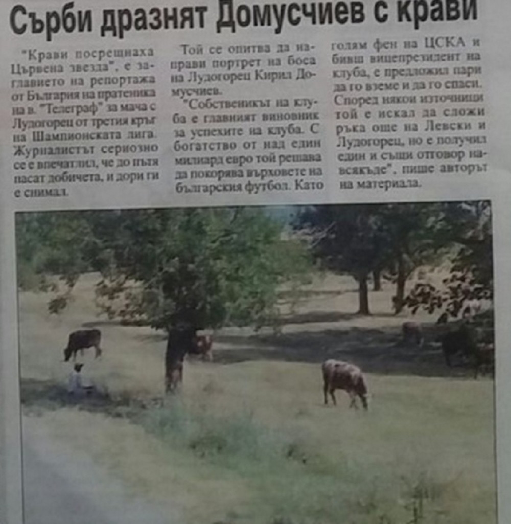 Bugarima zasmetalo izveštavanje o kravama