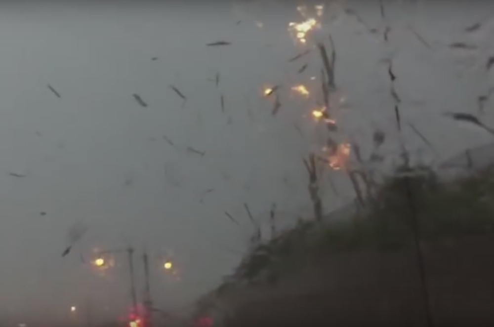 Grom banderu pretvorio u čačkalice! (VIDEO)