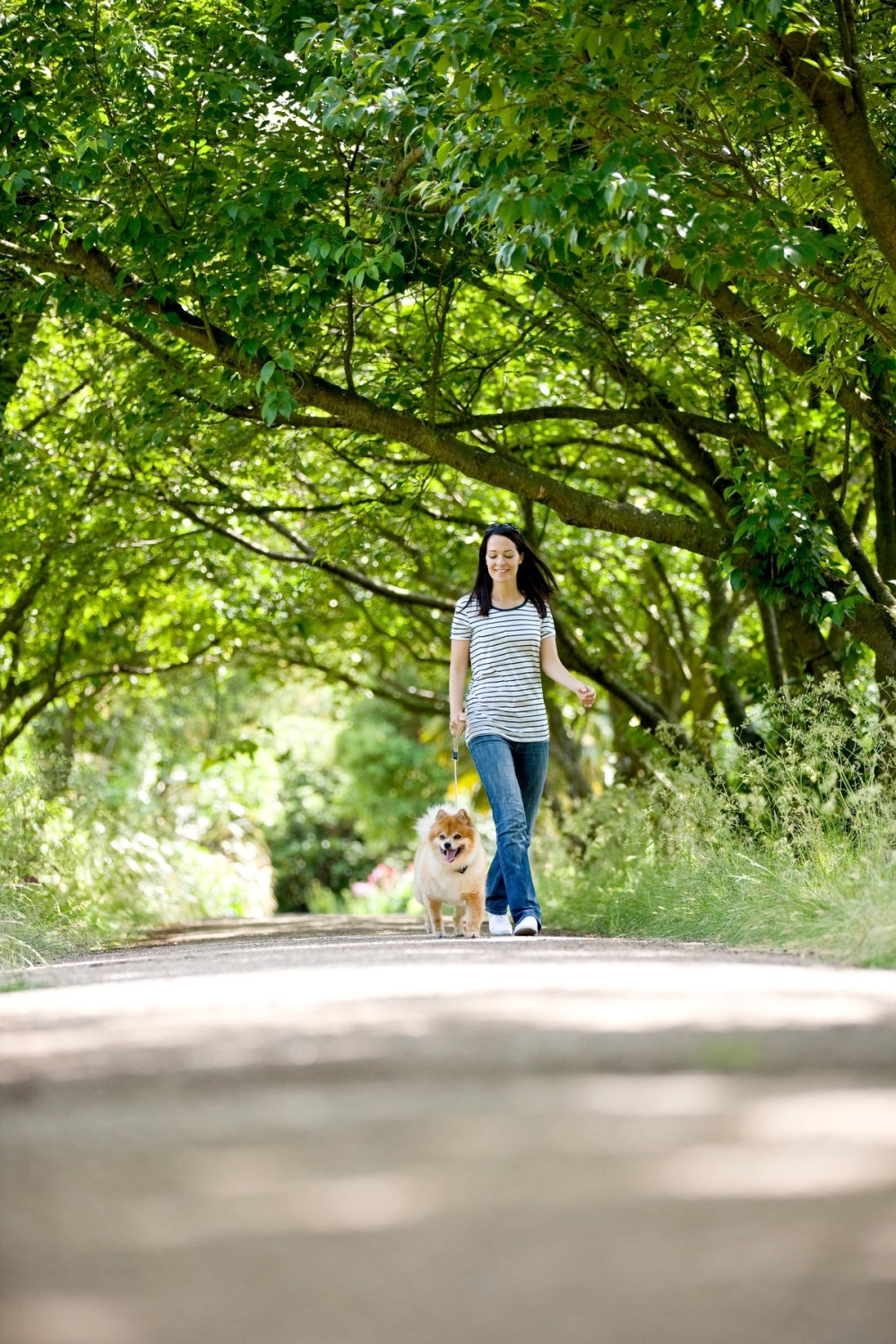 Ako hodate ovako brže ćete umreti!