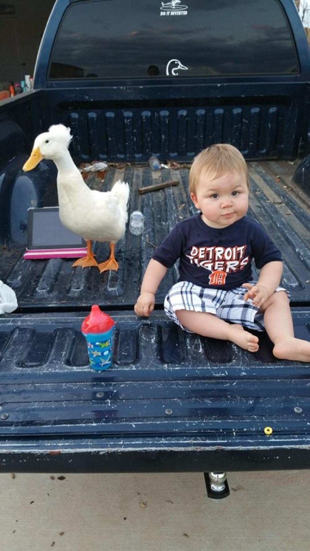 Oduševićete se ovim prijateljstvom! (VIDEO)