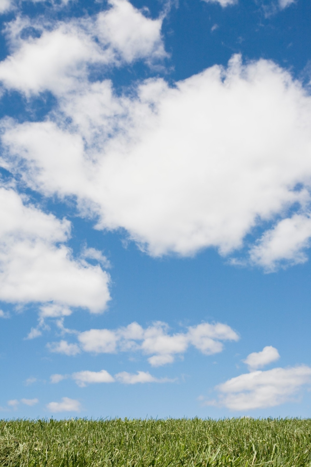 Danas promenjivo oblačno i toplije