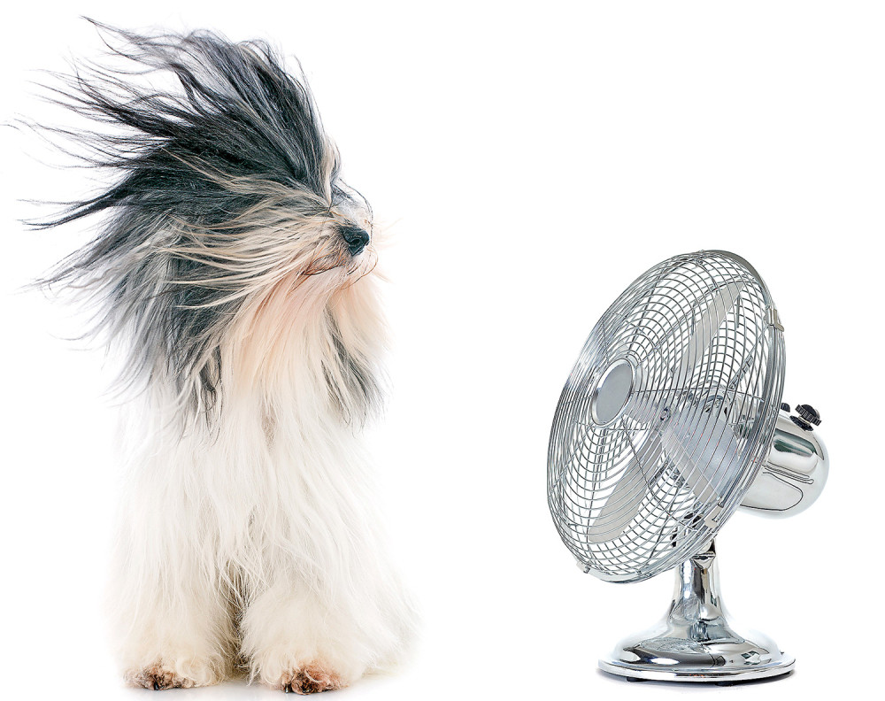 Danas i do 35 stepeni