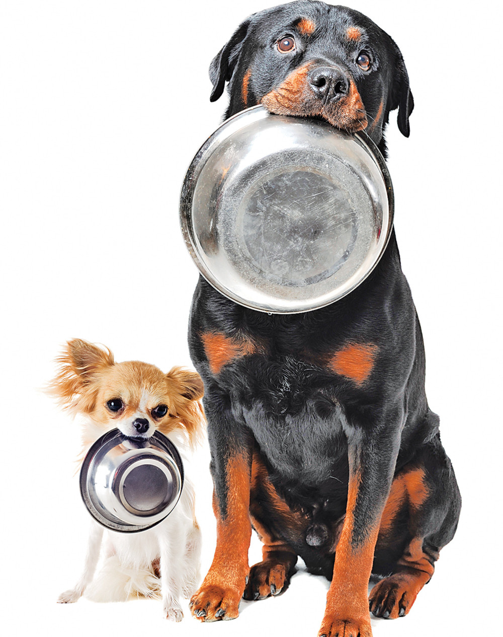 Ove stvari morate da znate pre nego počnete novi način ishrane