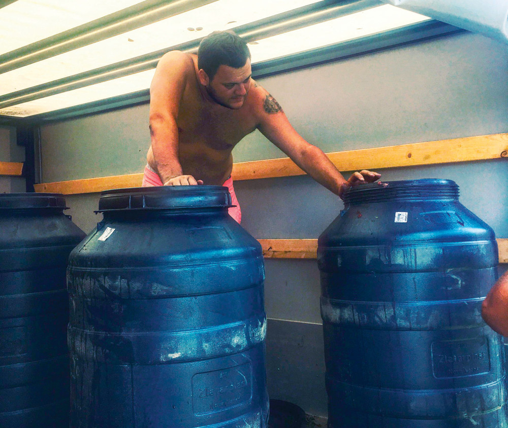 Moja „Žuta šljiva”  jača od „Tomovače”!