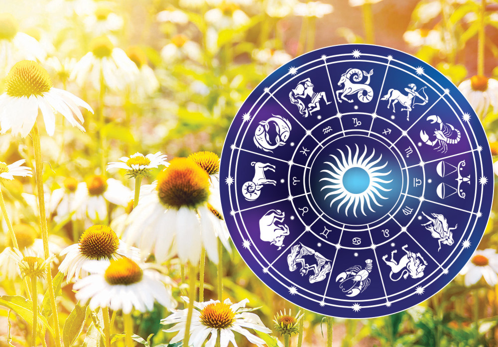 3 anđeoske karte koje će UPRAVLJATI nama tokom čitavog februara! Budite posebno OPREZNI krajem meseca!