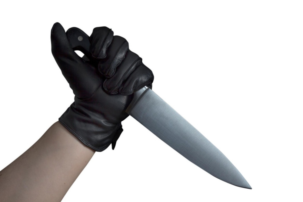 Žena psihički bolesnik pretila da će pobiti decu