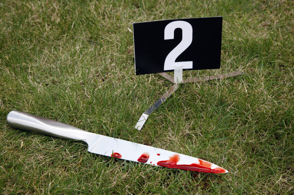 Majka sinu zabila nož u stomak, a komšije otkrile još šokantnije detalje