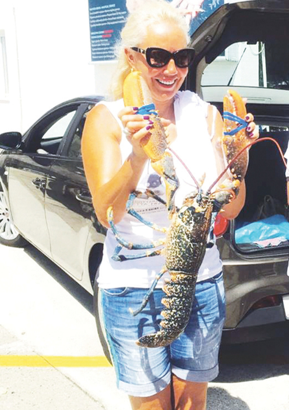 Brena ulovila jastoga