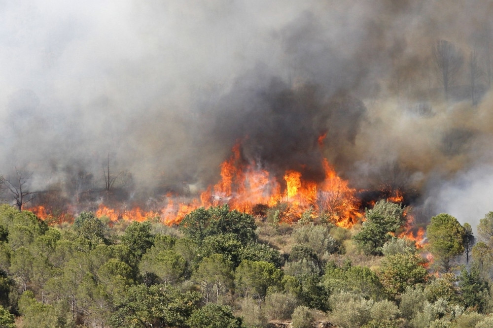 Vatra sve bliže Marseju! (FOTO)