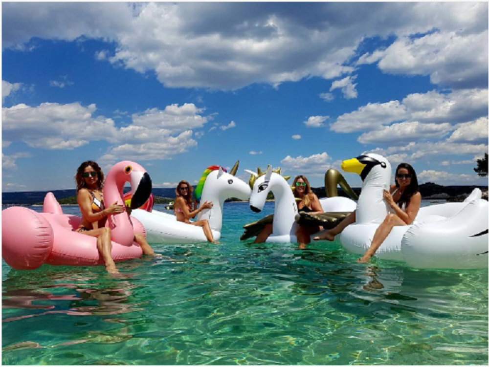 Poznate cice uzjašile labudiće! (VIDEO)