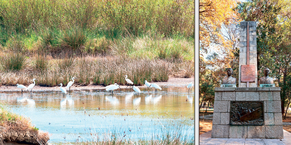 "Ponjavica" u Pančevu doživeće preporod