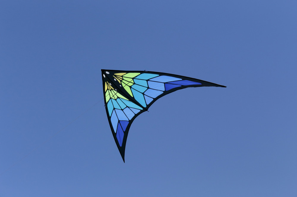 Zmajevi im prerezali grkljane (VIDEO)