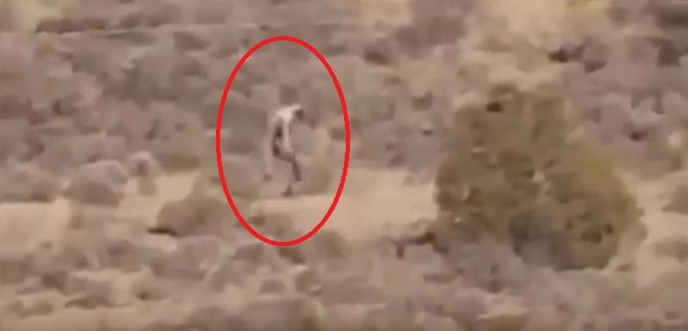 Čudno biće uslikano u Portugalu (VIDEO)