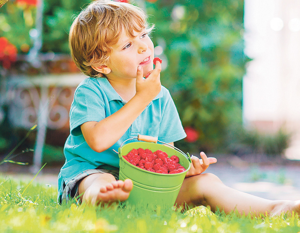 Sok od malina bez šećera