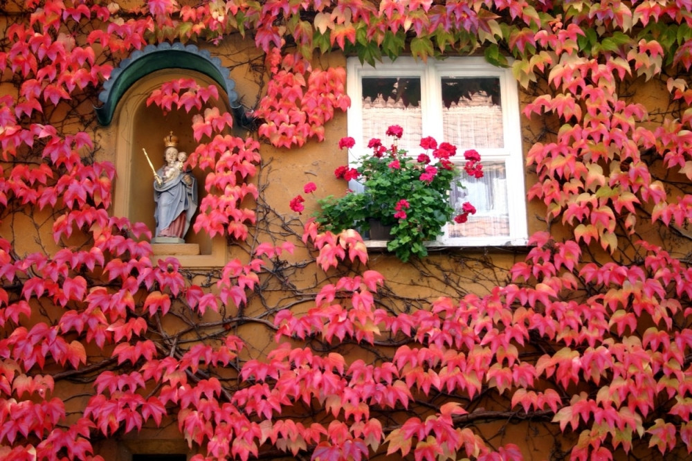 Gradić u kojem je godišnja kirija 1 evro