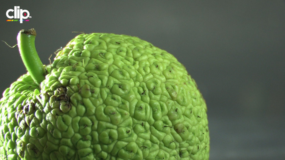 Šta je sad pa ovo?! (VIDEO)