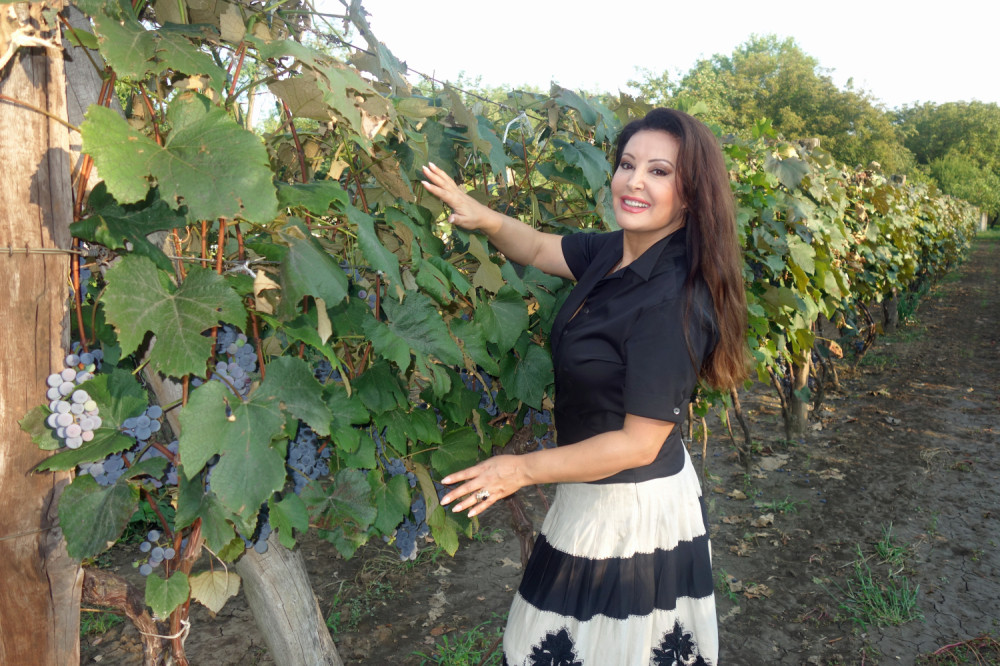 Nećete verovati koliko koštaju Gagine čizme (FOTO)