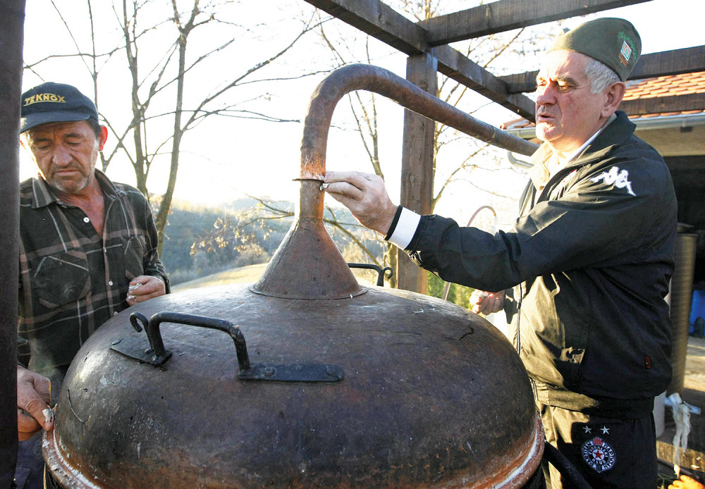 Toma peče rakiju od šargarepe?!