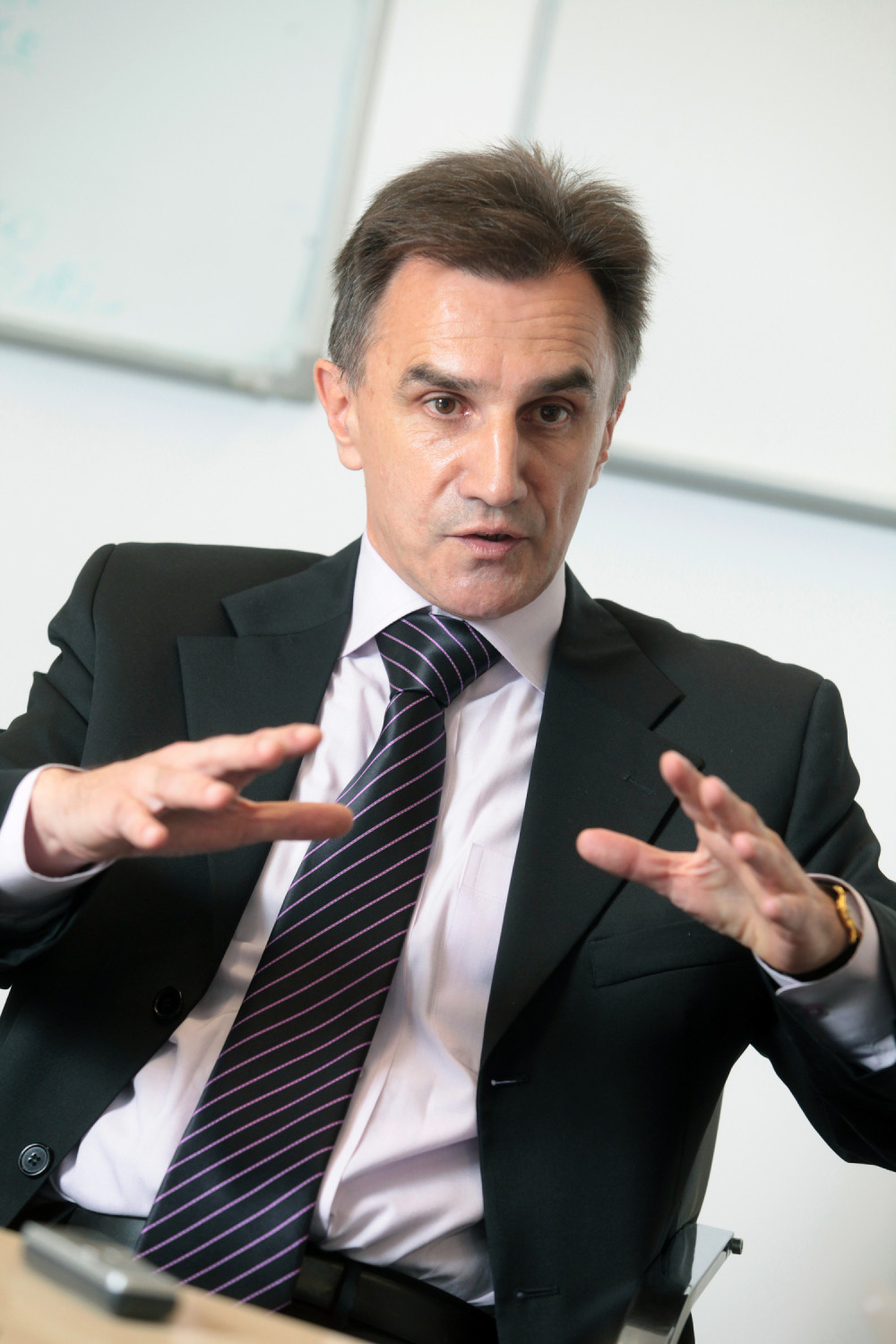 I Antić bi da bude lider DS-a