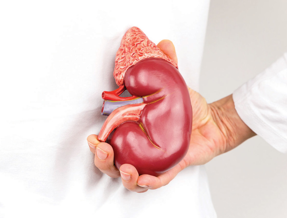 Sirup od limuna, meda, peršuna je najefikasnije rešenje za  čišćenje bubrega