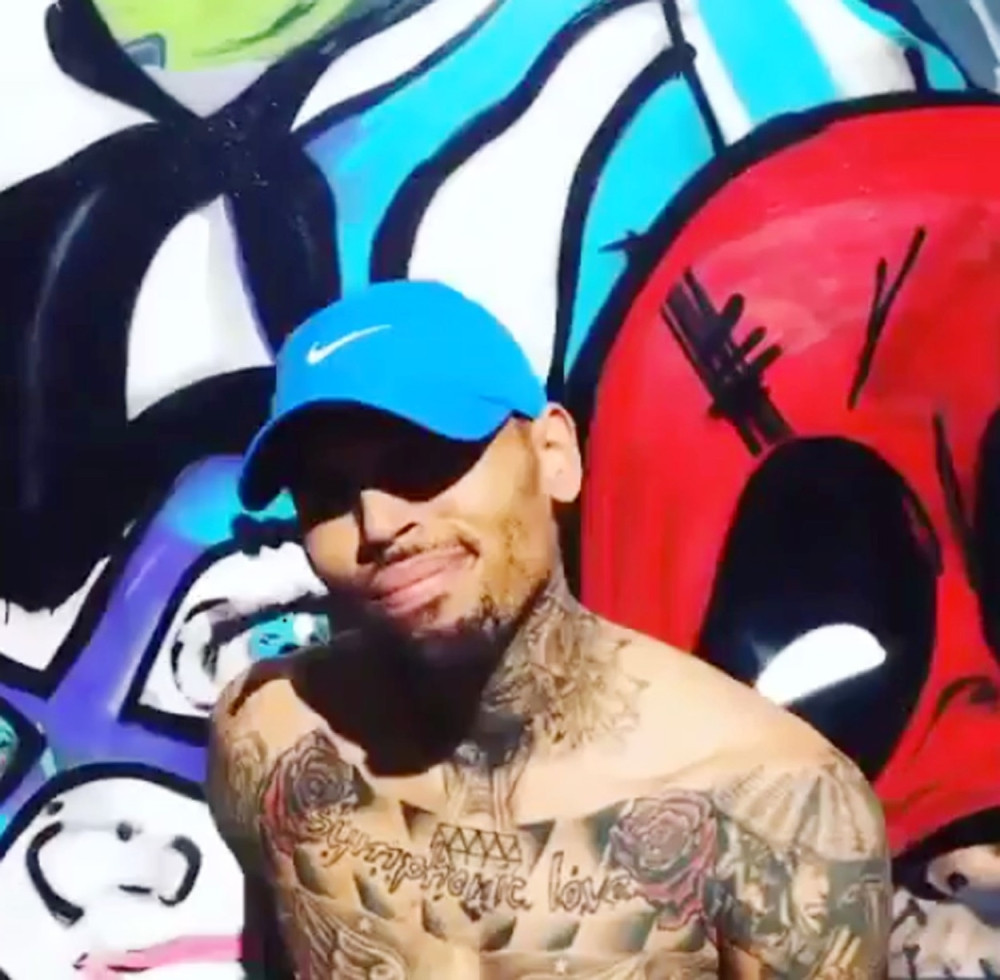 Misica namestila Braunu policiju