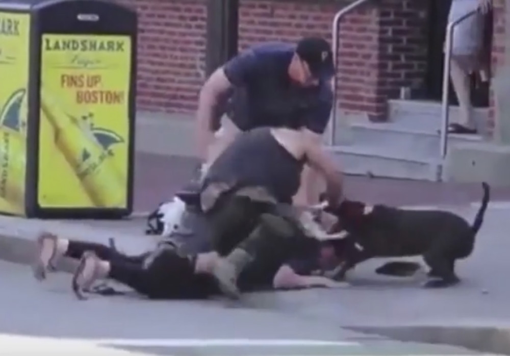 Pobesneli pitbul napao ženu i njenog psa (UZNEMIRUJUĆI VIDEO)