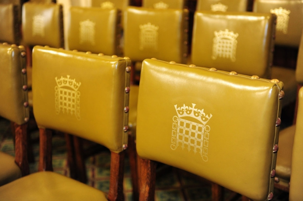 Političarka se skinula skroz gola (18+)