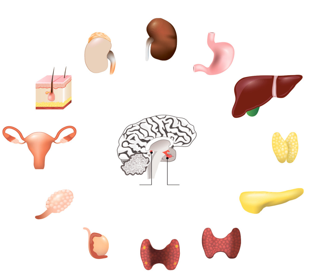 Prepoznajte simptome, olakšaćete lečenje