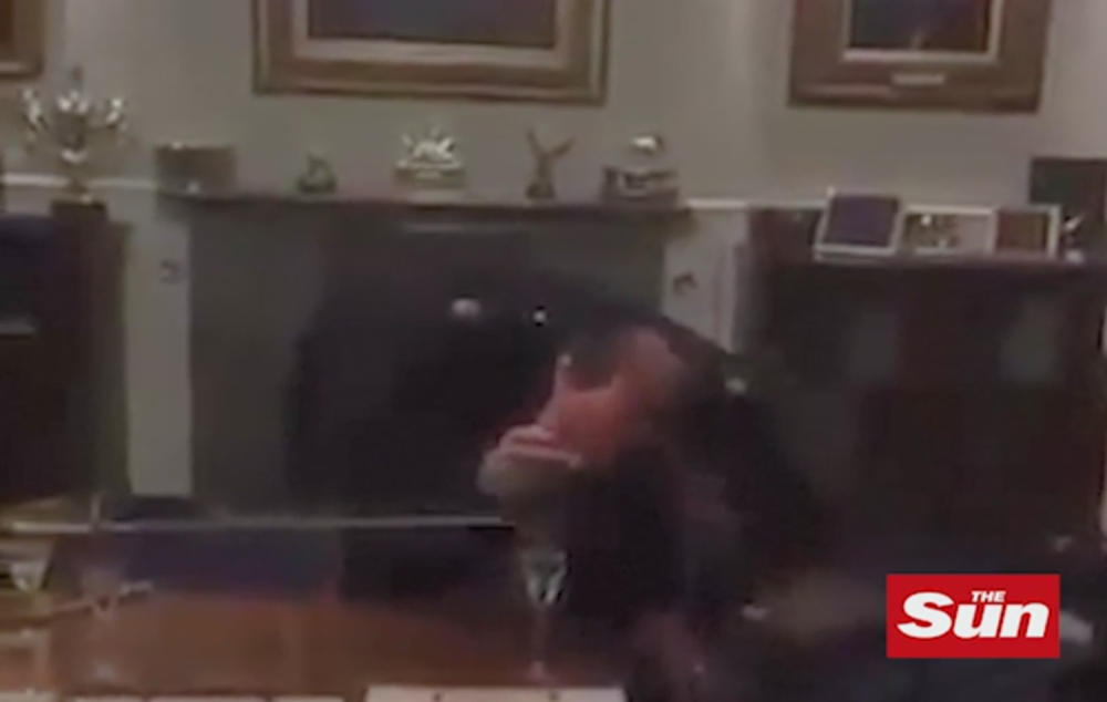 Dok čuva kraljicu, šmrče koku!