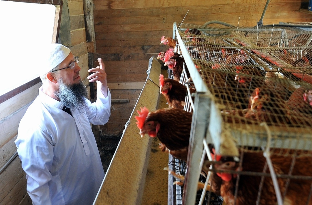 Vođa selafija u BiH obožava Riblju čorbu!