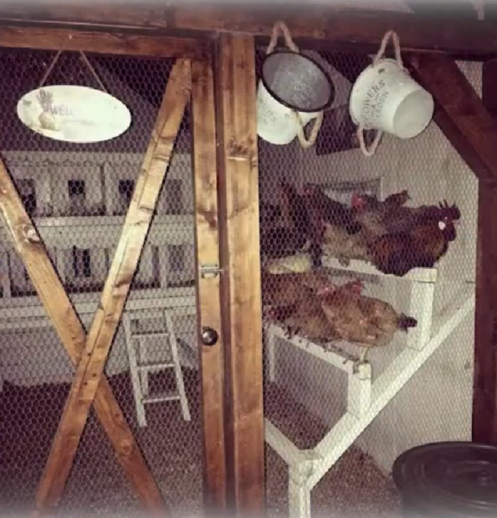 Ostala sam bez koka, s kim sad da pričam?