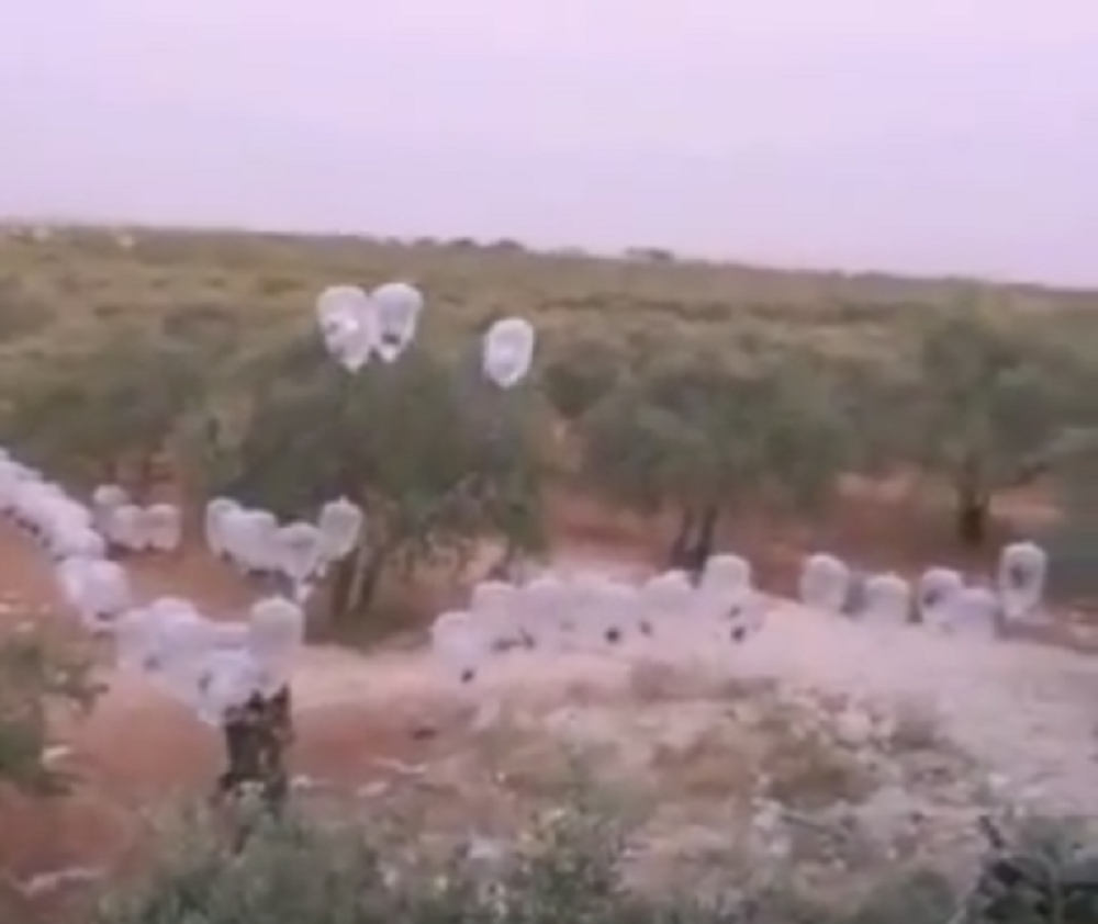 ISIS kesama i kondomima napada avione! (VIDEO)