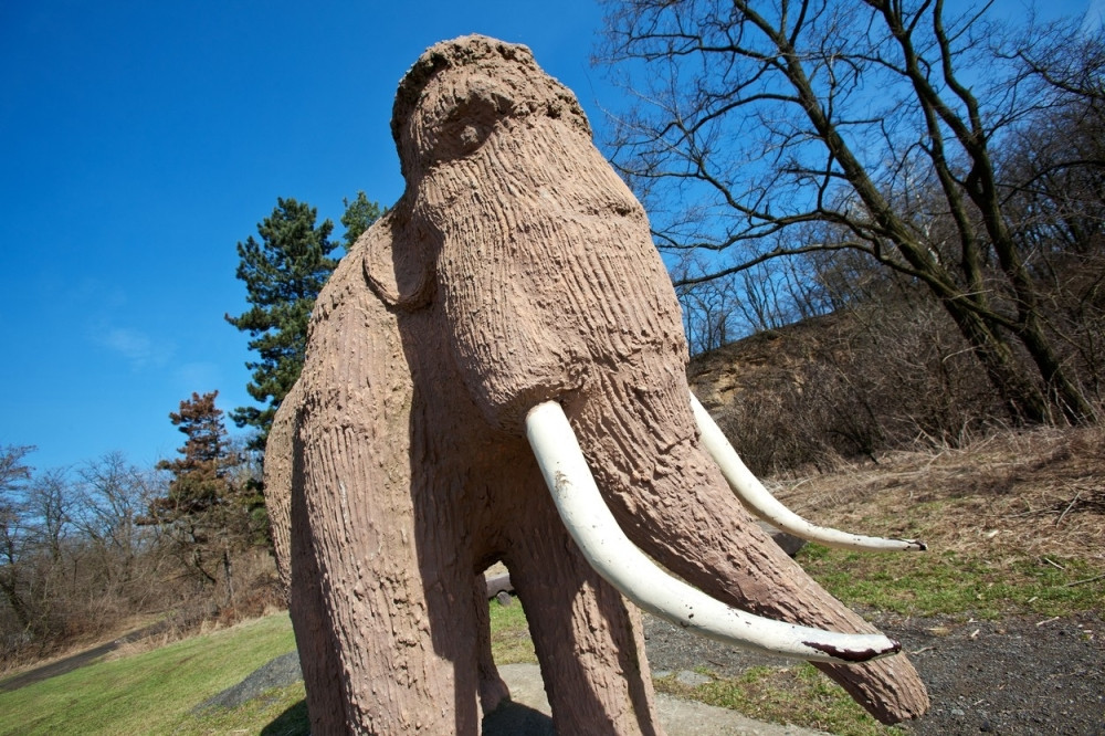 Rusi prave svoju verziju "Parka iz doba jure", kloniraće IZUMRLE ŽIVOTINJE!