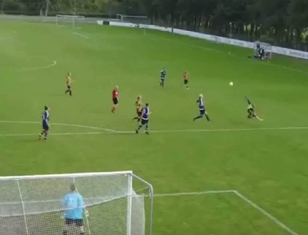 Ibrahimovićev duh "prošetao" Danskom (VIDEO)