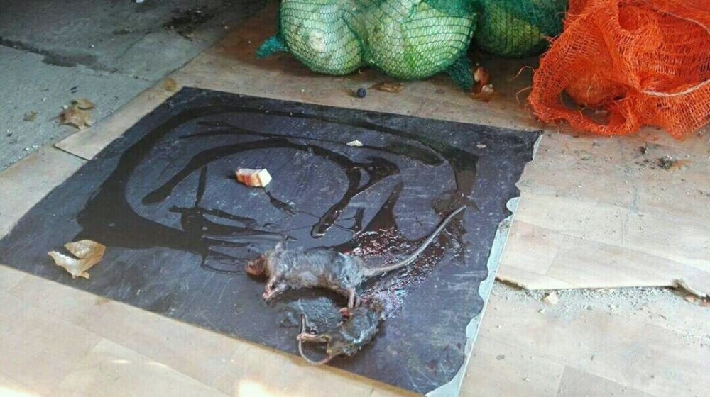 Žandarmi kod Bujanovca spavaju s pacovima!