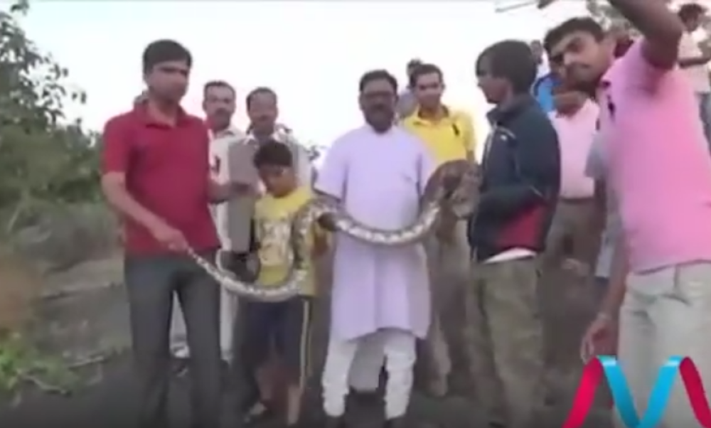 Pitonu se nije svidela ideja da se slika! (VIDEO)