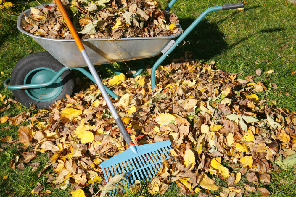 Kazne prete zbog lišća!