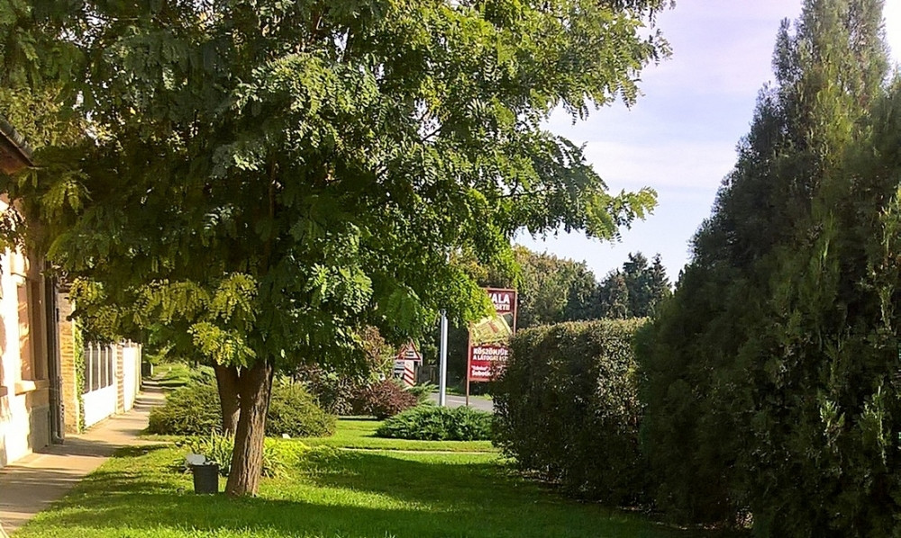 Migranti - silovatelji u pritvoru